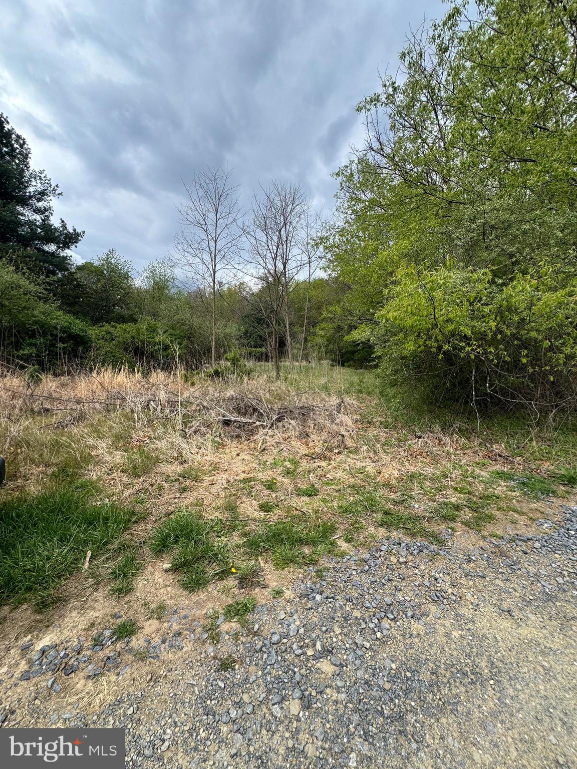 Middle Cove Road Mathias, WV 26812 - Photo 2 of 2