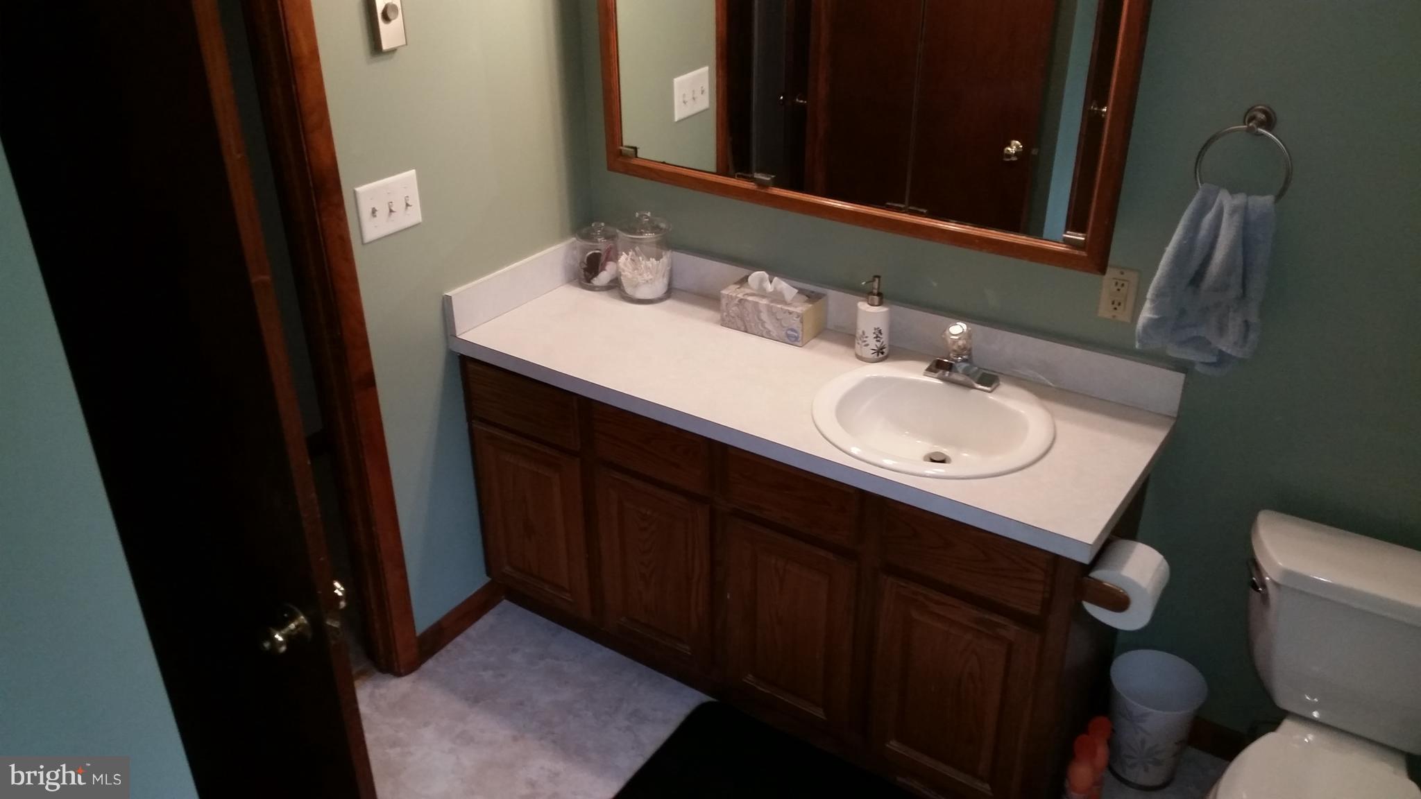 308 Oriole Road Chestertown, MD 21620 - Photo 12 of 24 Bath (Master)