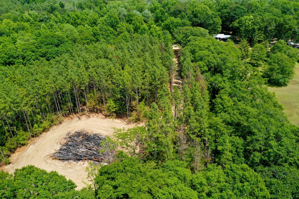 0 South Watford Road Slocomb, AL 36375 - Photo 13 of 14