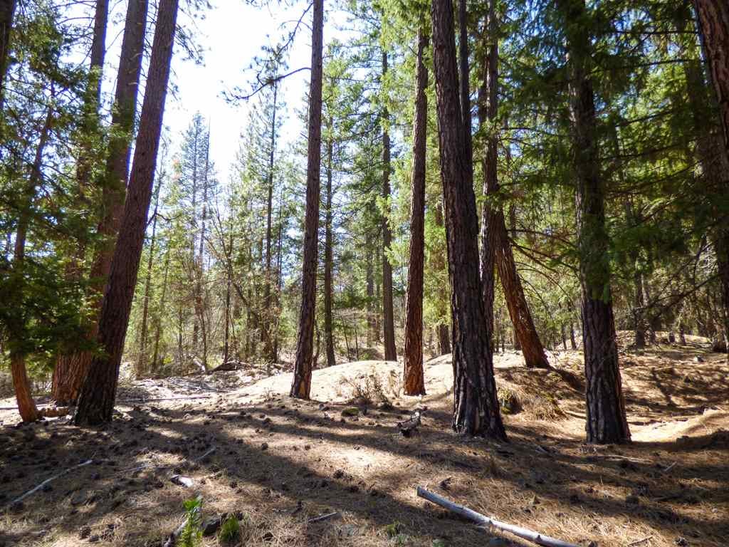 0 Culp Way Fort Jones, CA 96032 - Photo 3 of 8 Gallery Image 3