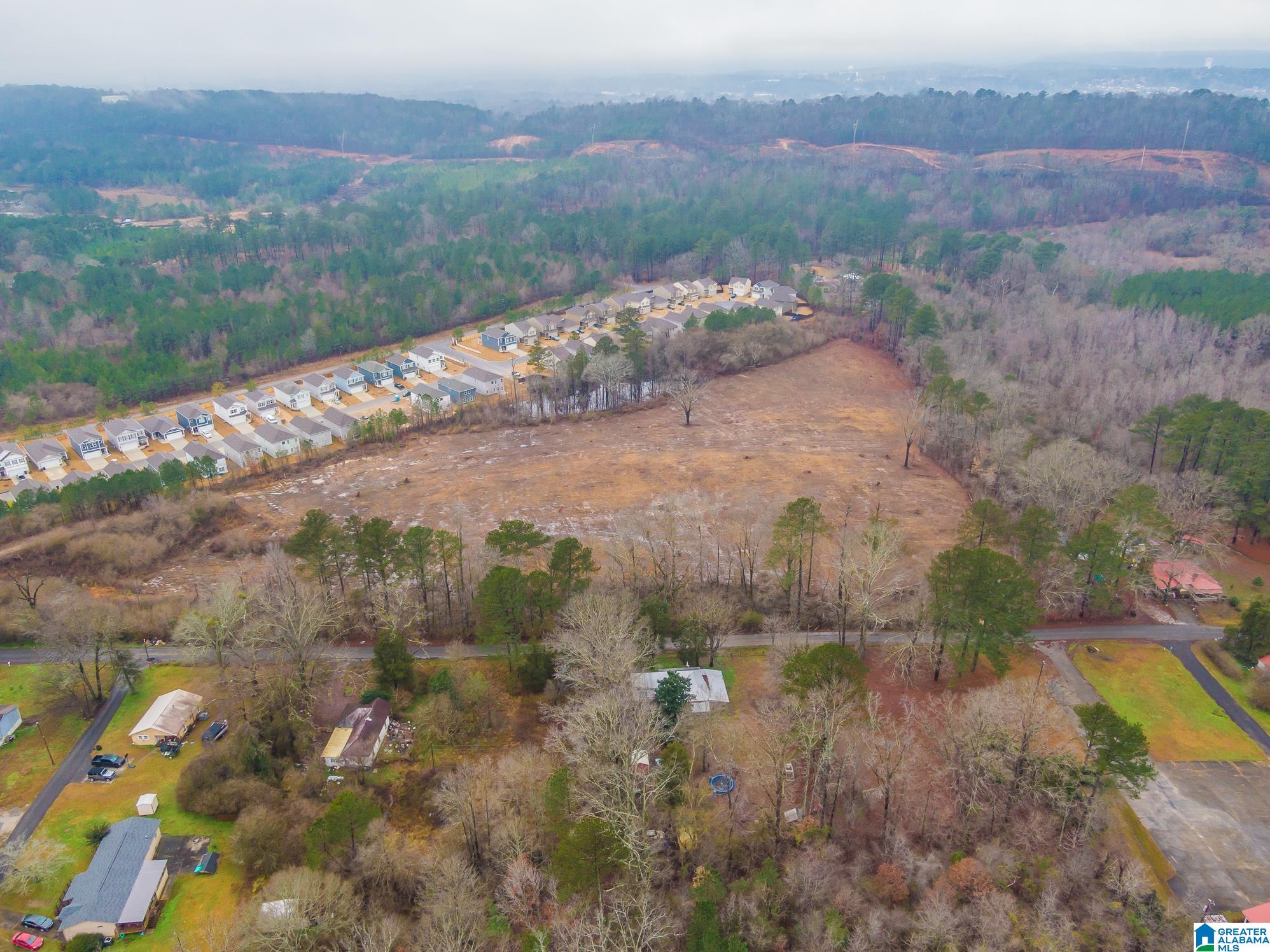 1991 Nixon Road, Unit 1 Bessemer, AL 35022 - Photo 5 of 20