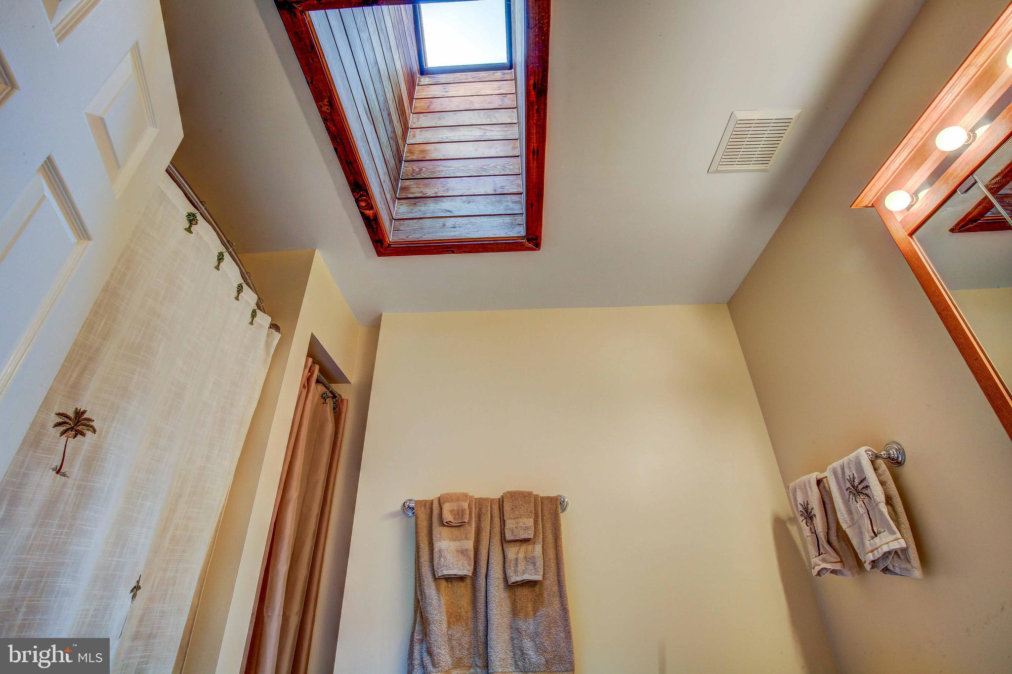 4511 Kings Road St. Leonard, MD 20685 - Photo 25 of 39 MAin Level Bath with Skylight
