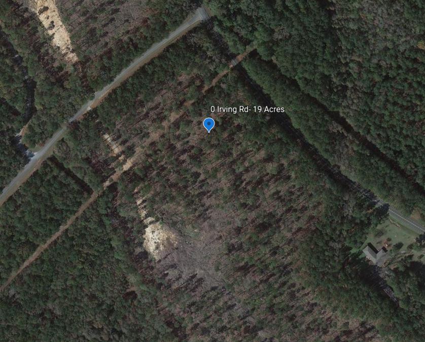 0 East Irvin Road Shiloh, GA 31826 - Photo 15 of 15 Gallery Image 15