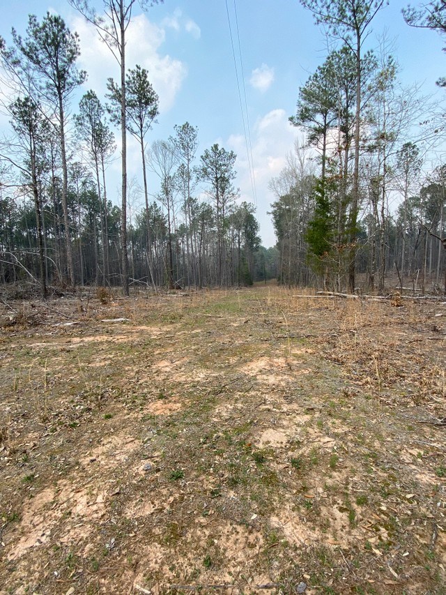 0 East Irvin Road Shiloh, GA 31826 - Photo 5 of 15 Gallery Image 5