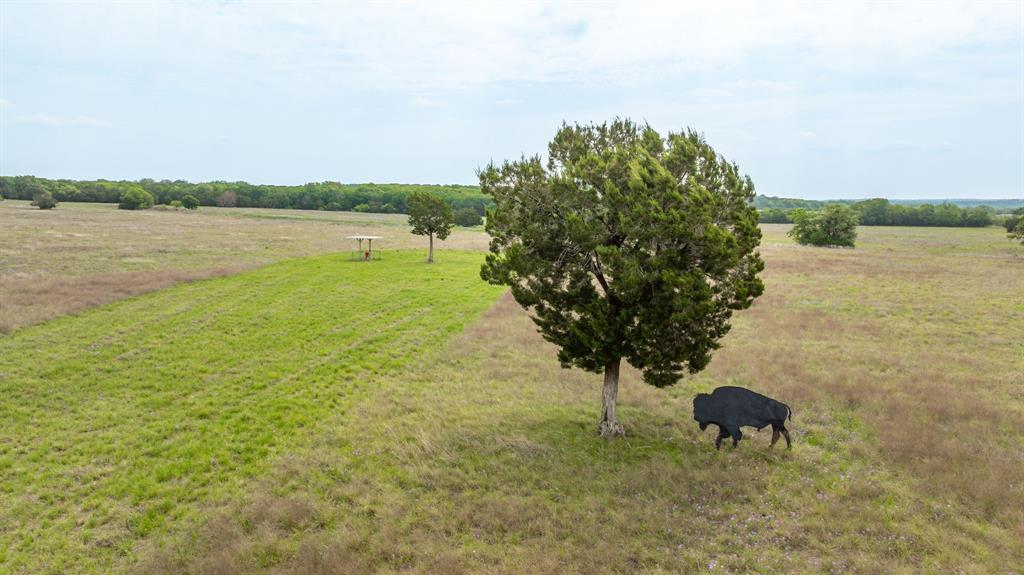 281 North East Hamilton, TX 76531 - Photo 6 of 11 a view of a lake with a big yard