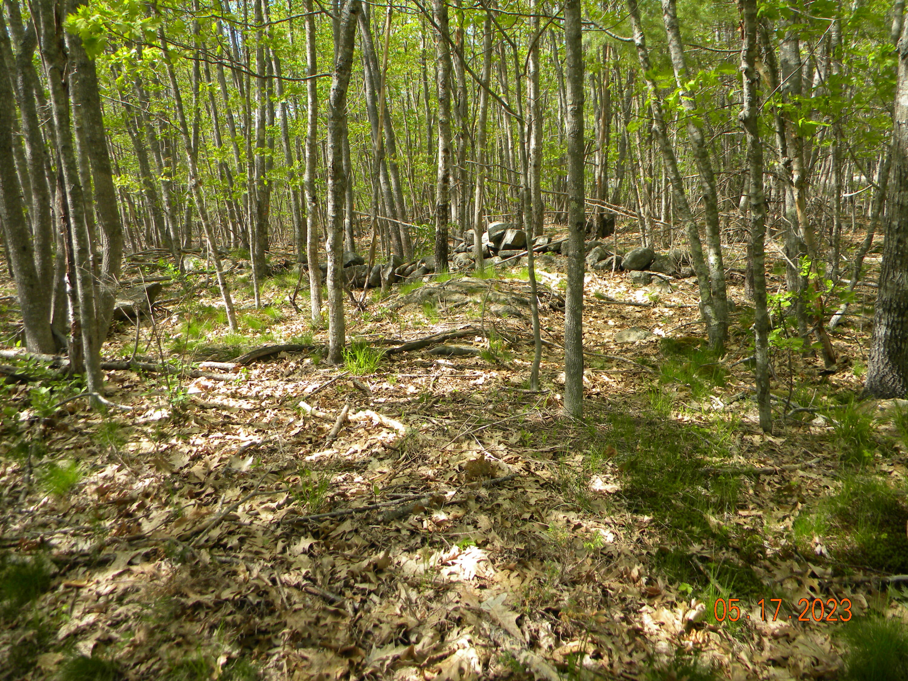 369 Barley Neck Road, Unit LOT C Woolwich, ME 04579 - Photo 2 of 13 DSCN4627