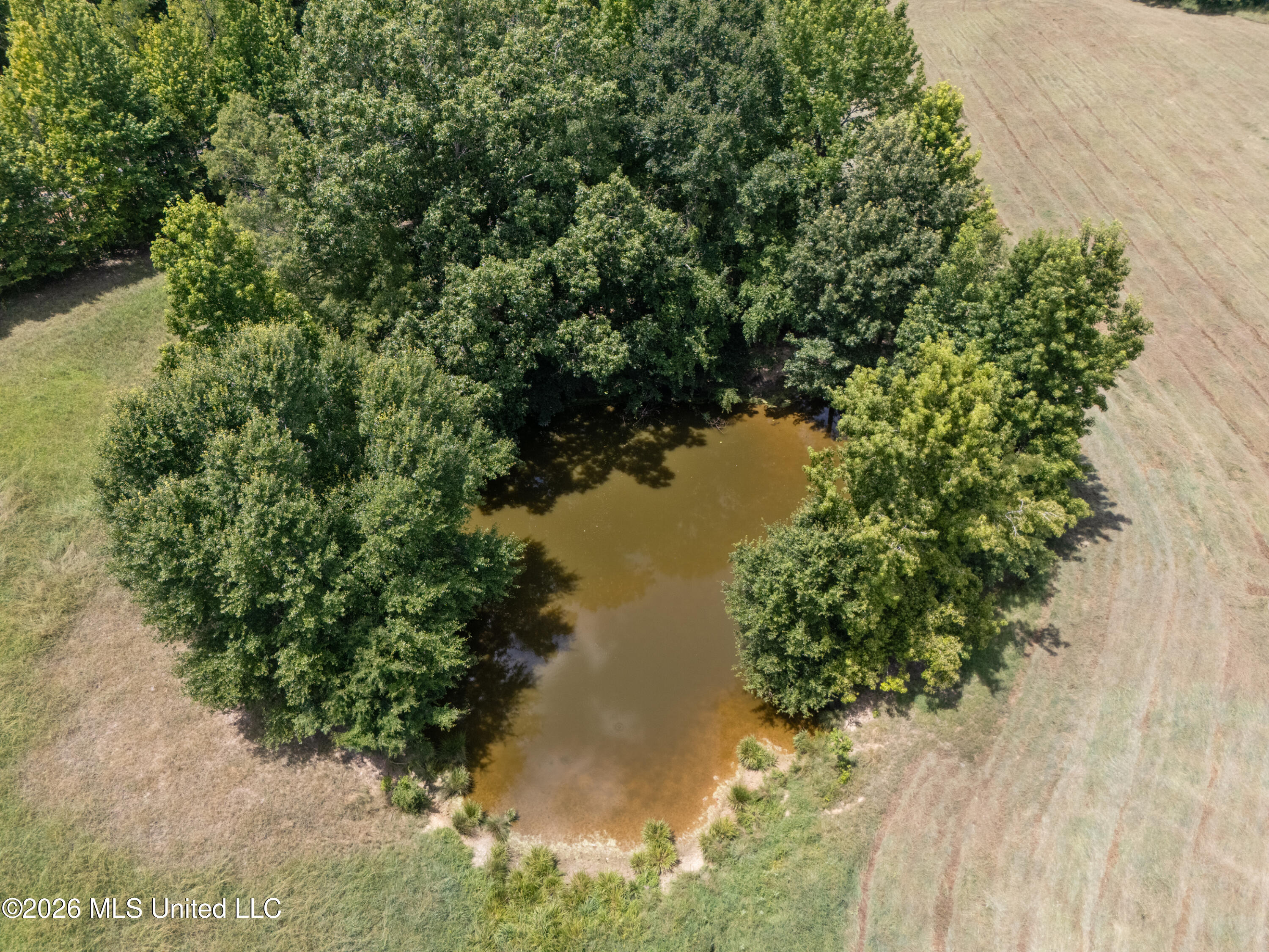 1150 Veazey Road Senatobia, MS 38668 - Photo 14 of 28 94_fourth stop_015