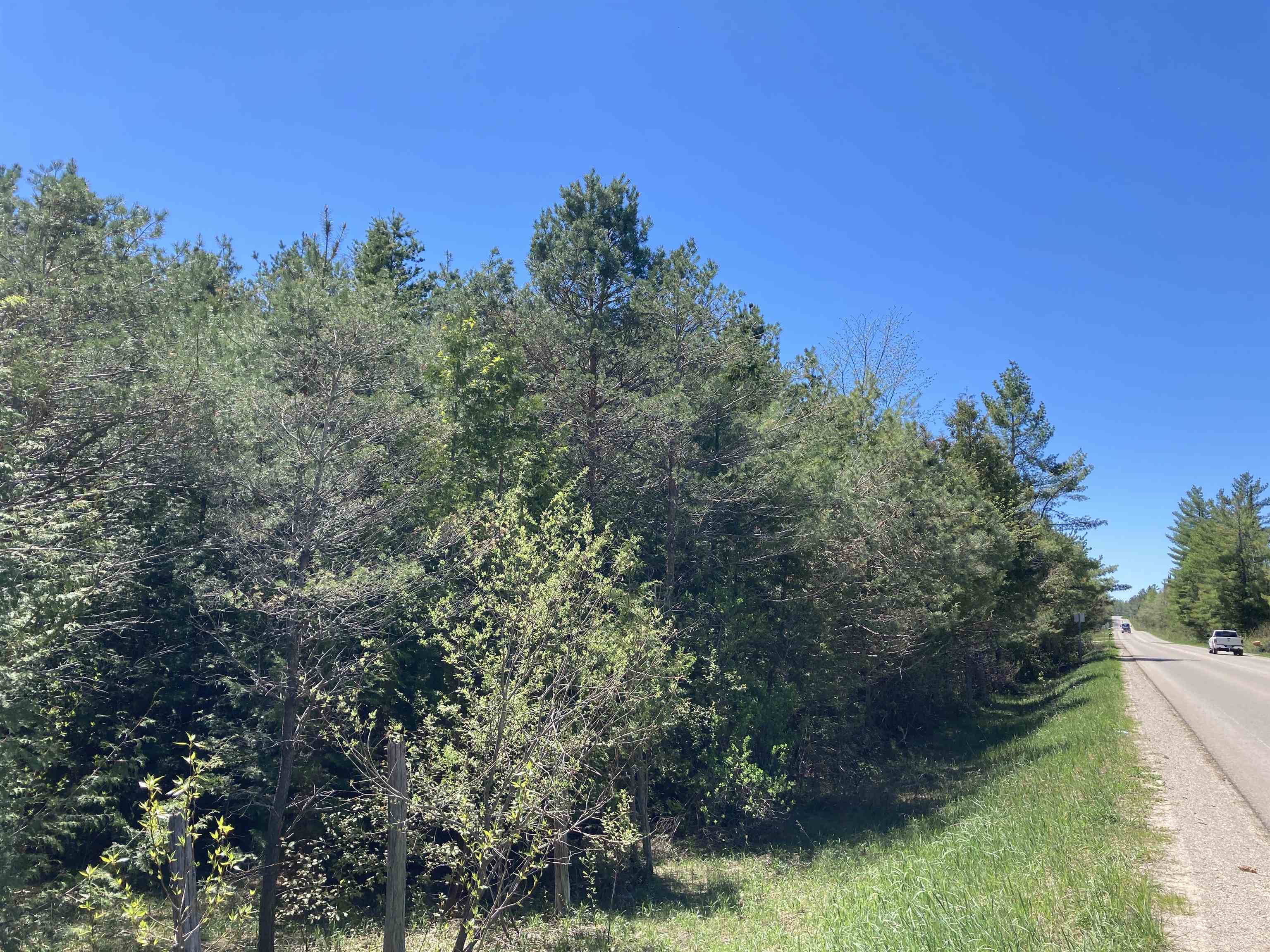 0 West Miller Road Mio, MI 48647 - Photo 5 of 23