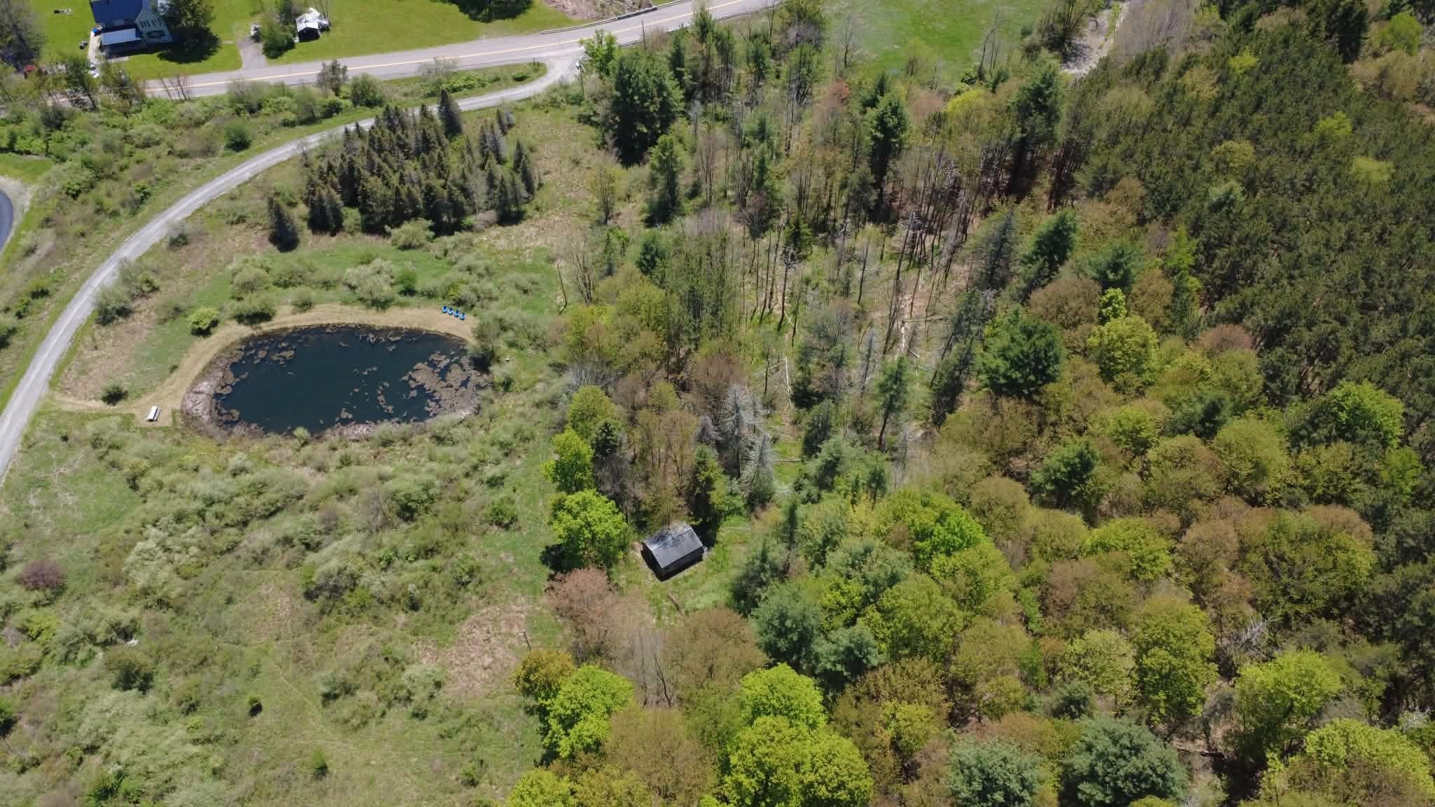 245 Powderhouse Road Vestal, NY 13850 - Photo 42 of 43