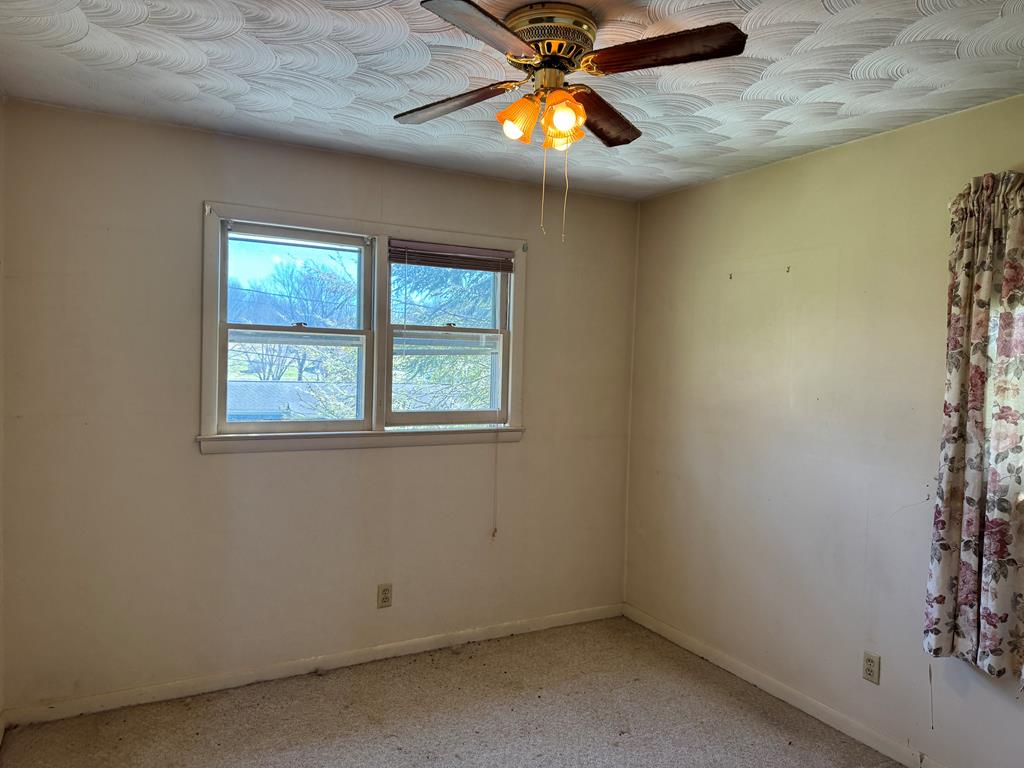 31205 Old Stage Road Glade Spring, VA 24340 - Photo 11 of 18 Gallery Image 11