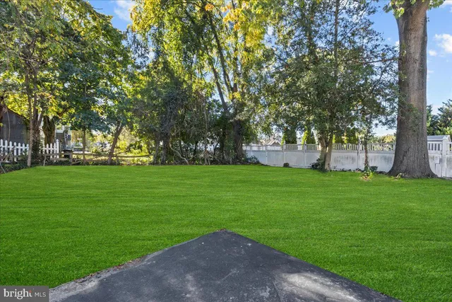 a view of yard with green space