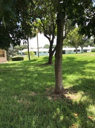 22368 Southwest 57th Circle Boca Raton, FL 33428 - Photo 36 of 41 a view of a trees with a yard