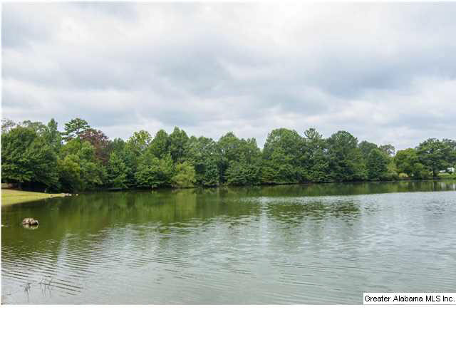 6495 County Road 51 Wilsonville, AL 35186 - Photo 30 of 32