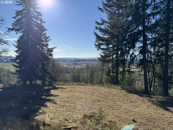 $574,000 | Southeast Rice Lane, Amity, OR 97101