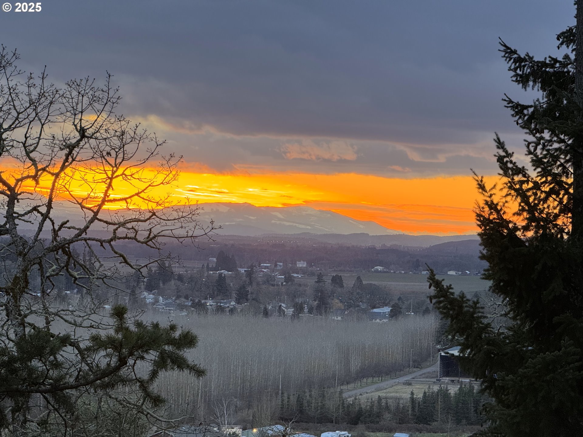 Southeast Rice Lane Amity, OR 97101 - Photo 11 of 18 a view of a swimming pool with a yard and mountain view