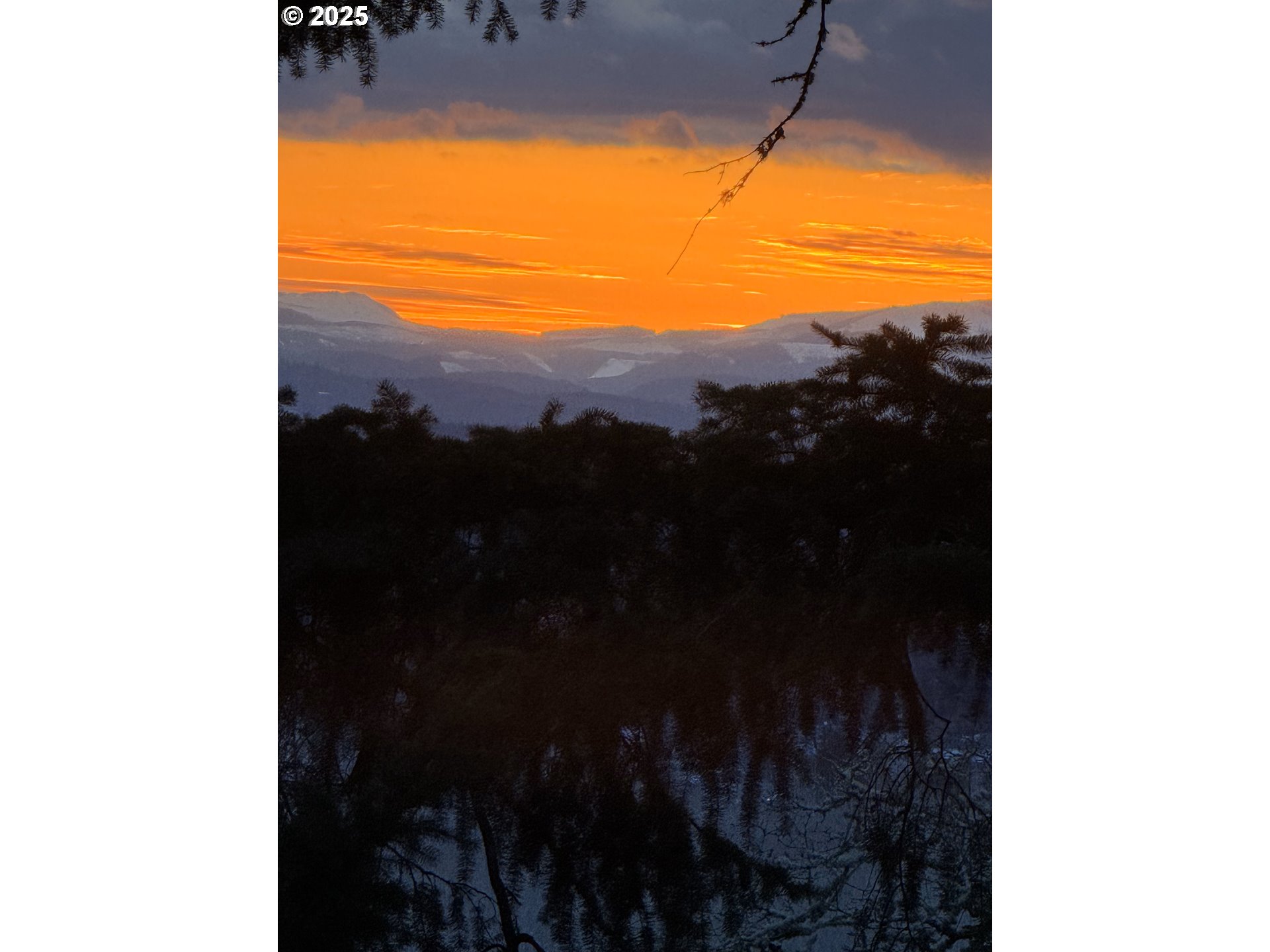Southeast Rice Lane Amity, OR 97101 - Photo 13 of 18 a view of balcony with a potted plant