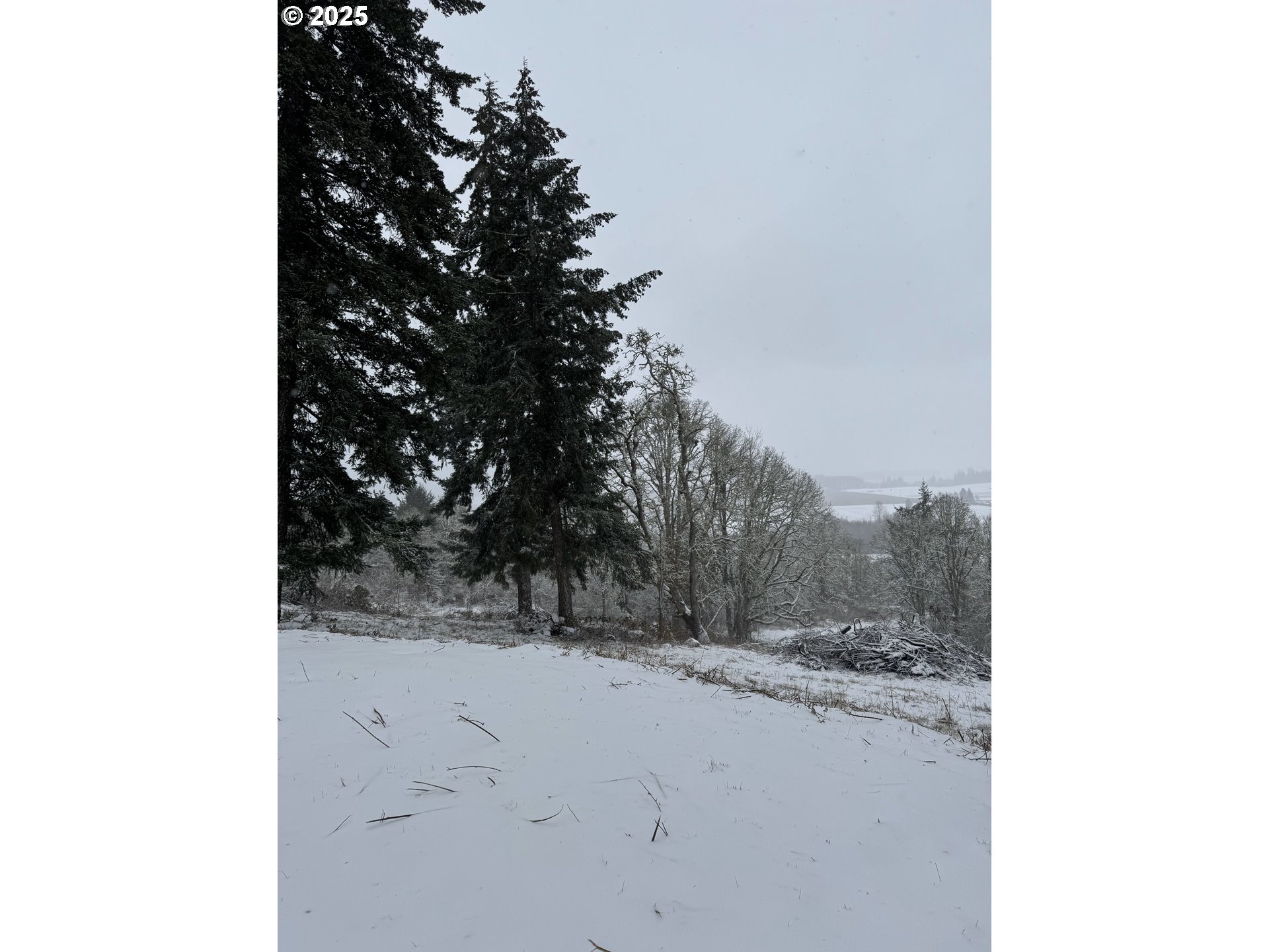 Southeast Rice Lane Amity, OR 97101 - Photo 15 of 18 a view of a snow on the wall