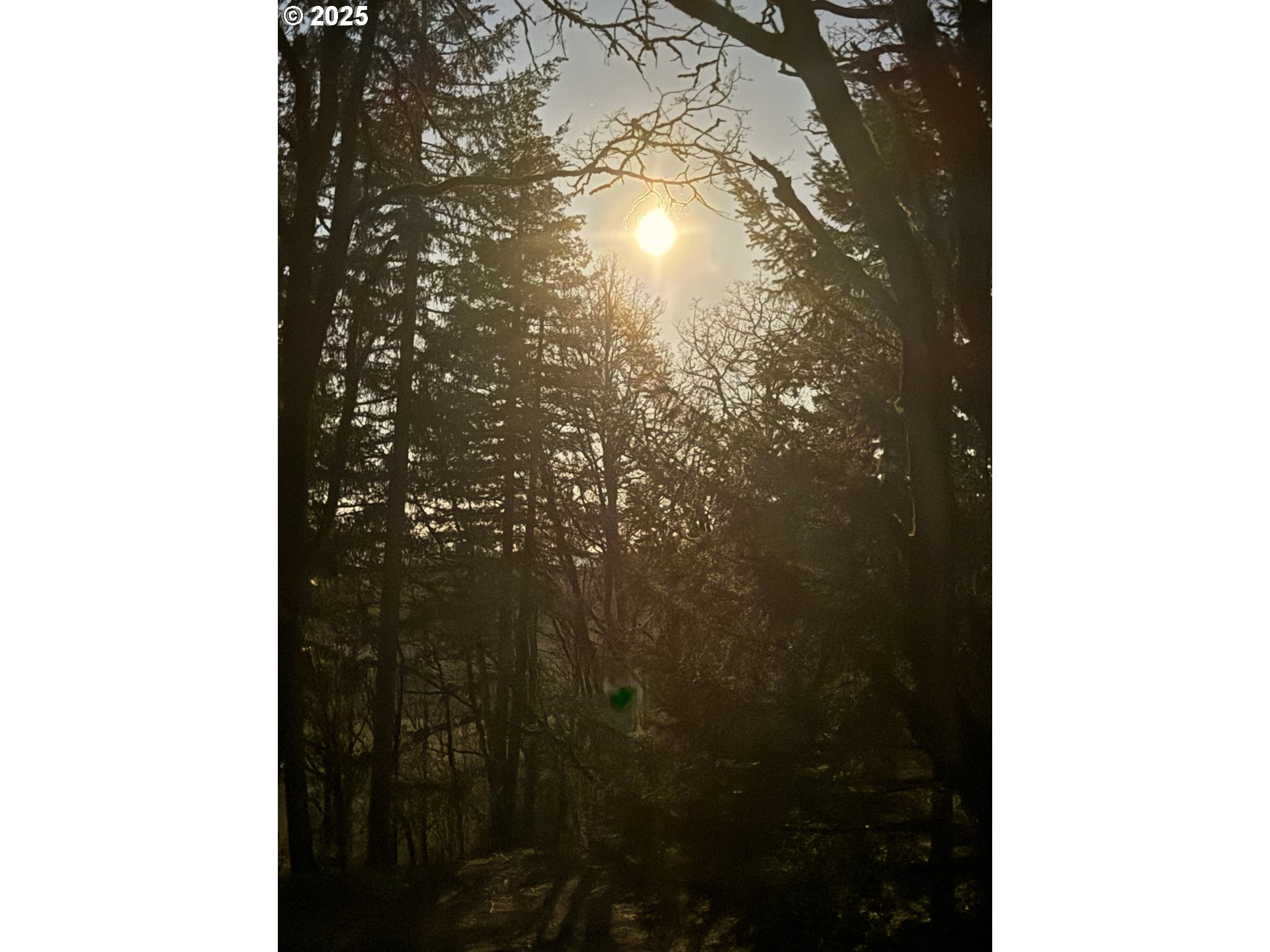 Southeast Rice Lane Amity, OR 97101 - Photo 16 of 18