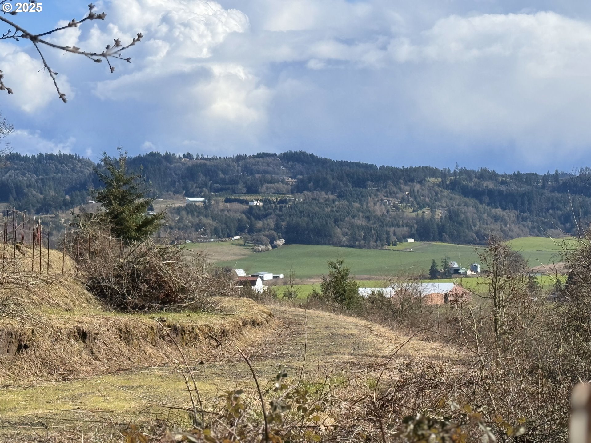 Southeast Rice Lane Amity, OR 97101 - Photo 18 of 18 a view of a lake in middle of the forest