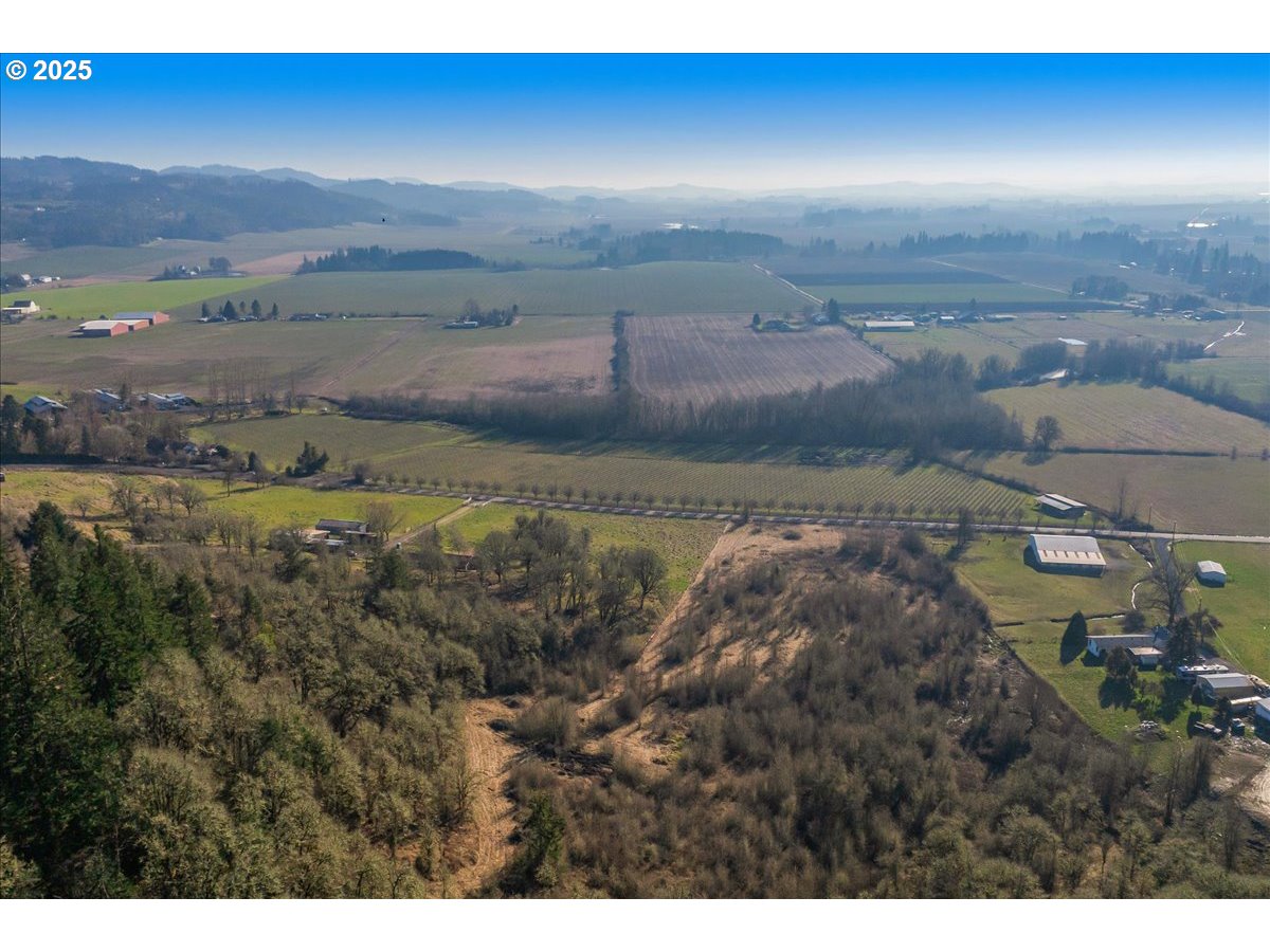 Southeast Rice Lane Amity, OR 97101 - Photo 2 of 18 a view of an outdoor space and mountain view