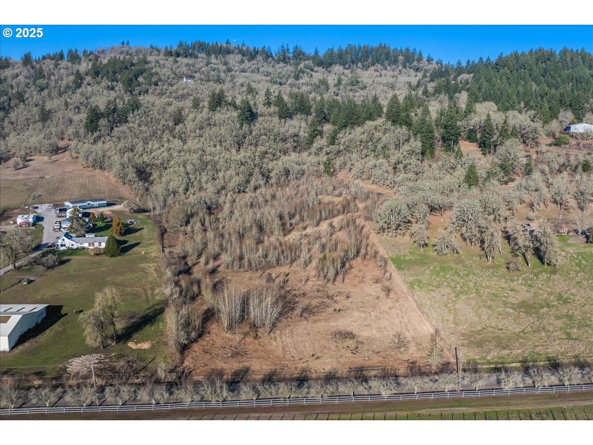 Southeast Rice Lane Amity, OR 97101 - Photo 3 of 18 a view of a yard with an trees