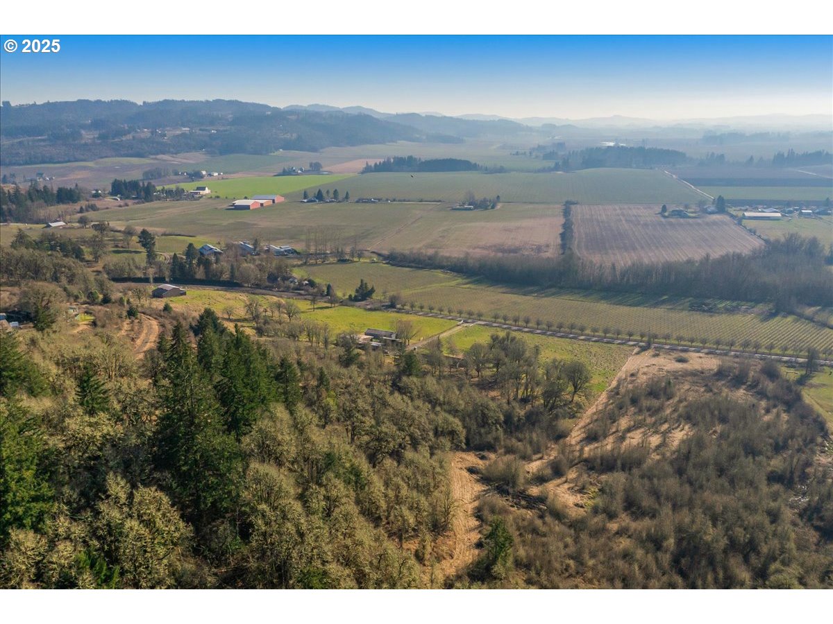 Southeast Rice Lane Amity, OR 97101 - Photo 5 of 18 a view of an outdoor space and mountain view