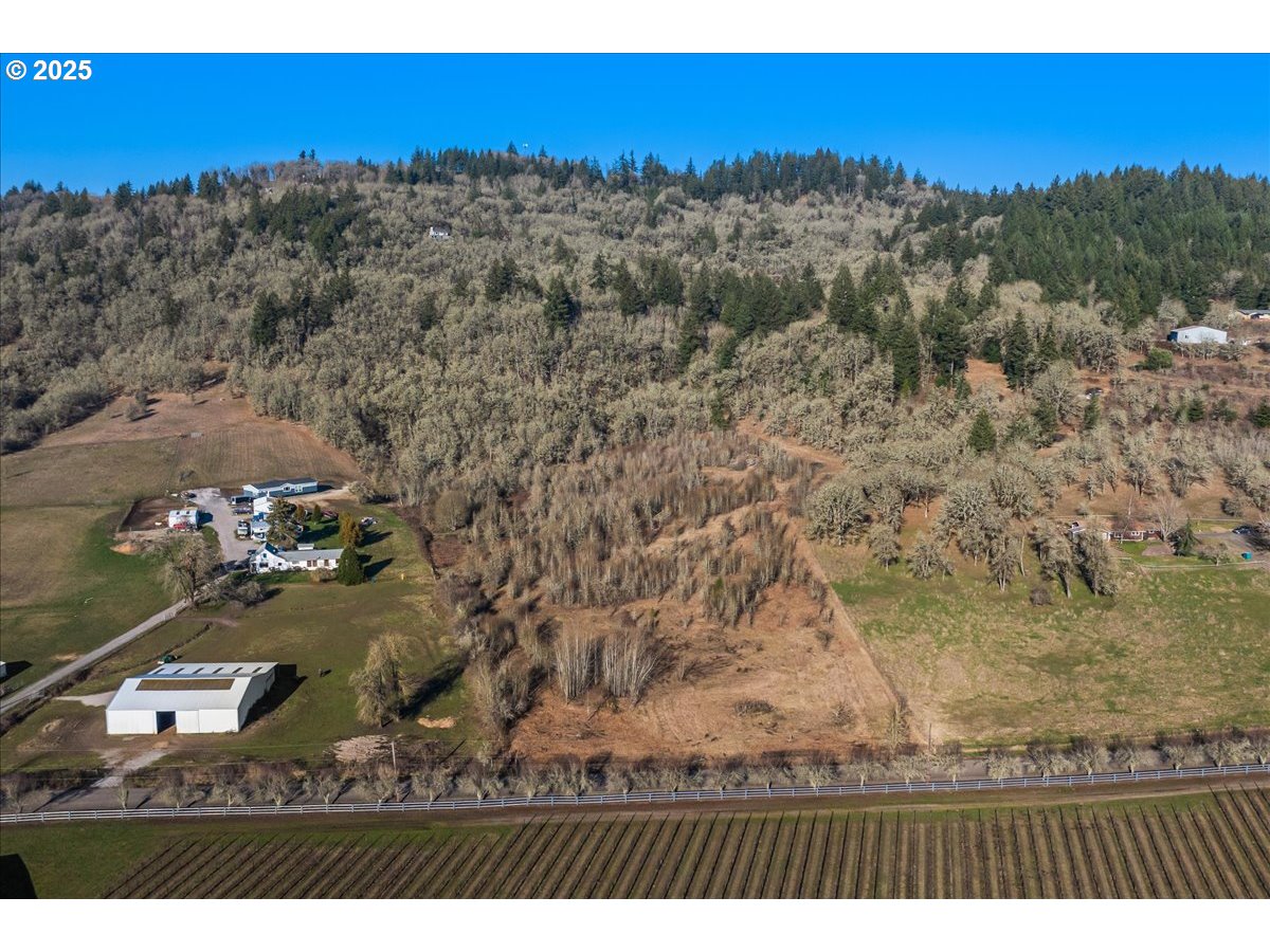 Southeast Rice Lane Amity, OR 97101 - Photo 7 of 18 a view of city and mountain