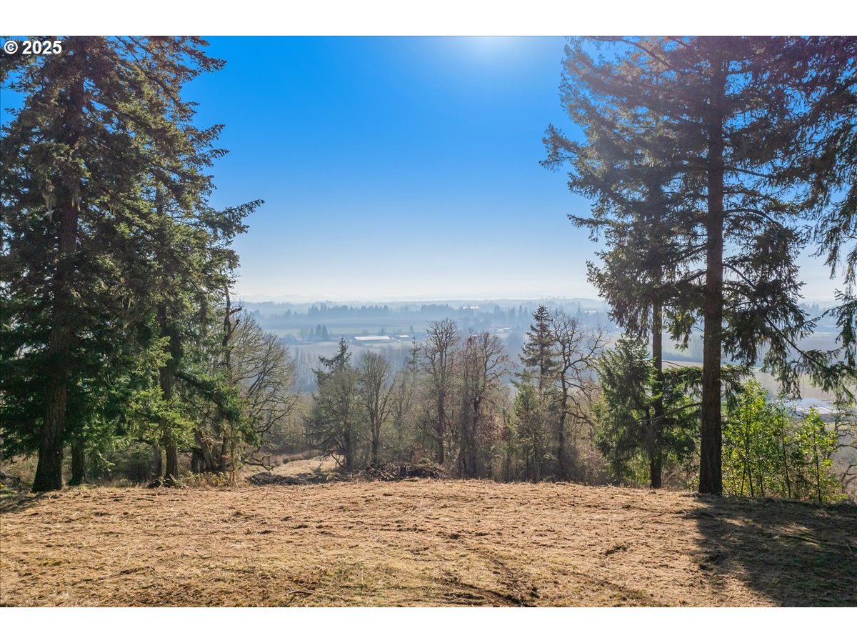 Southeast Rice Lane Amity, OR 97101 - Photo 9 of 18 a view of outdoor space with trees