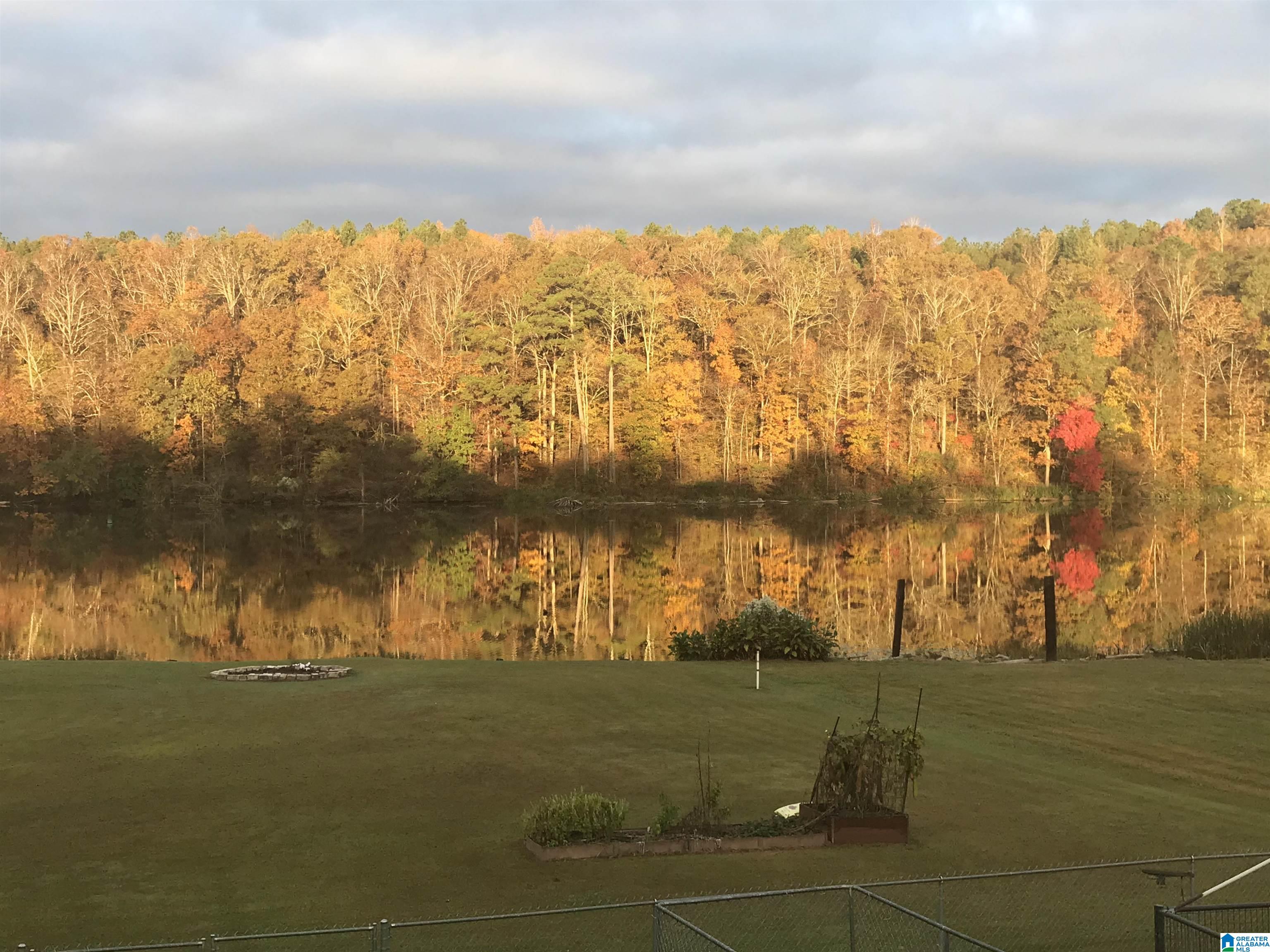9071 Manley Vines Camp Road Bessemer, AL 35023 - Photo 20 of 22