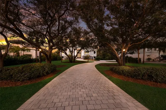 a view of street with large trees