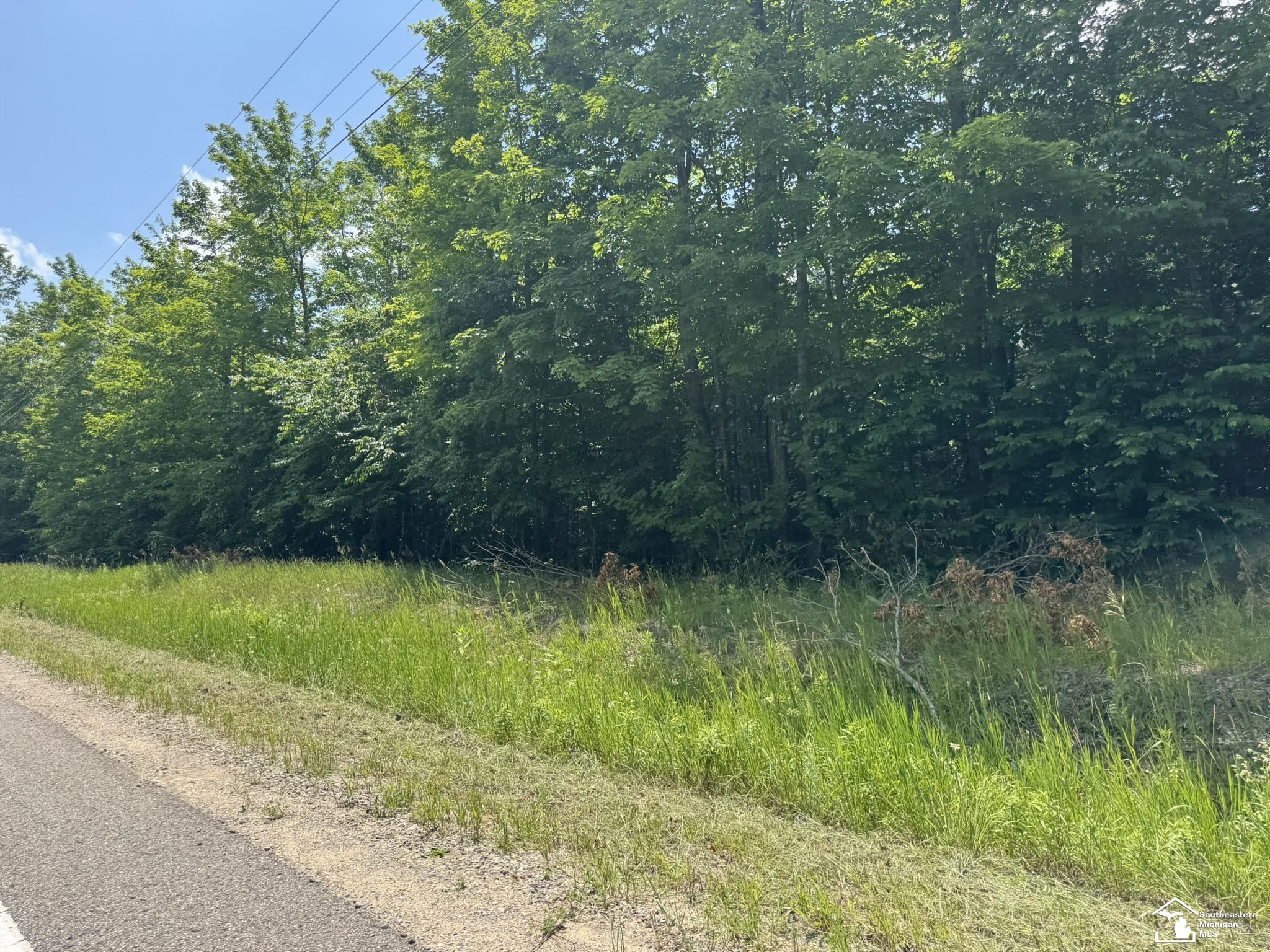 0 Hayes Tower Road Gaylord, MI 49735 - Photo 8 of 14