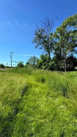 a view of a garden with a building in the background