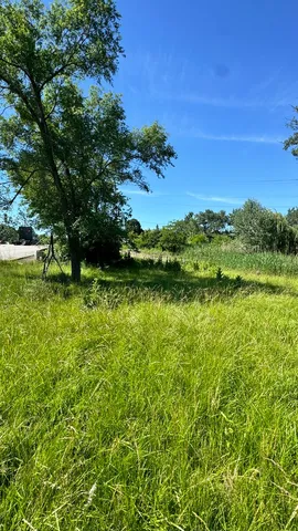 a view of backyard with swimming pool
