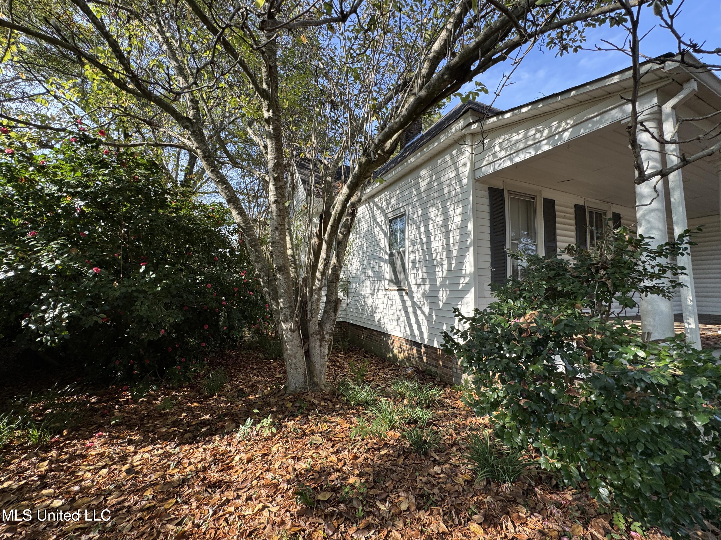 409 North Jackson Street Crystal Springs, MS 39059 - Photo 23 of 30 IMG_6973