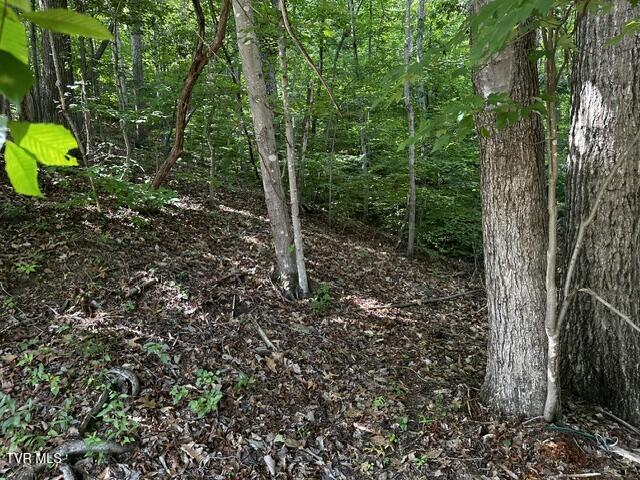 230 Ridge Road Weber City, VA 24290 - Photo 24 of 46 IMG_0623