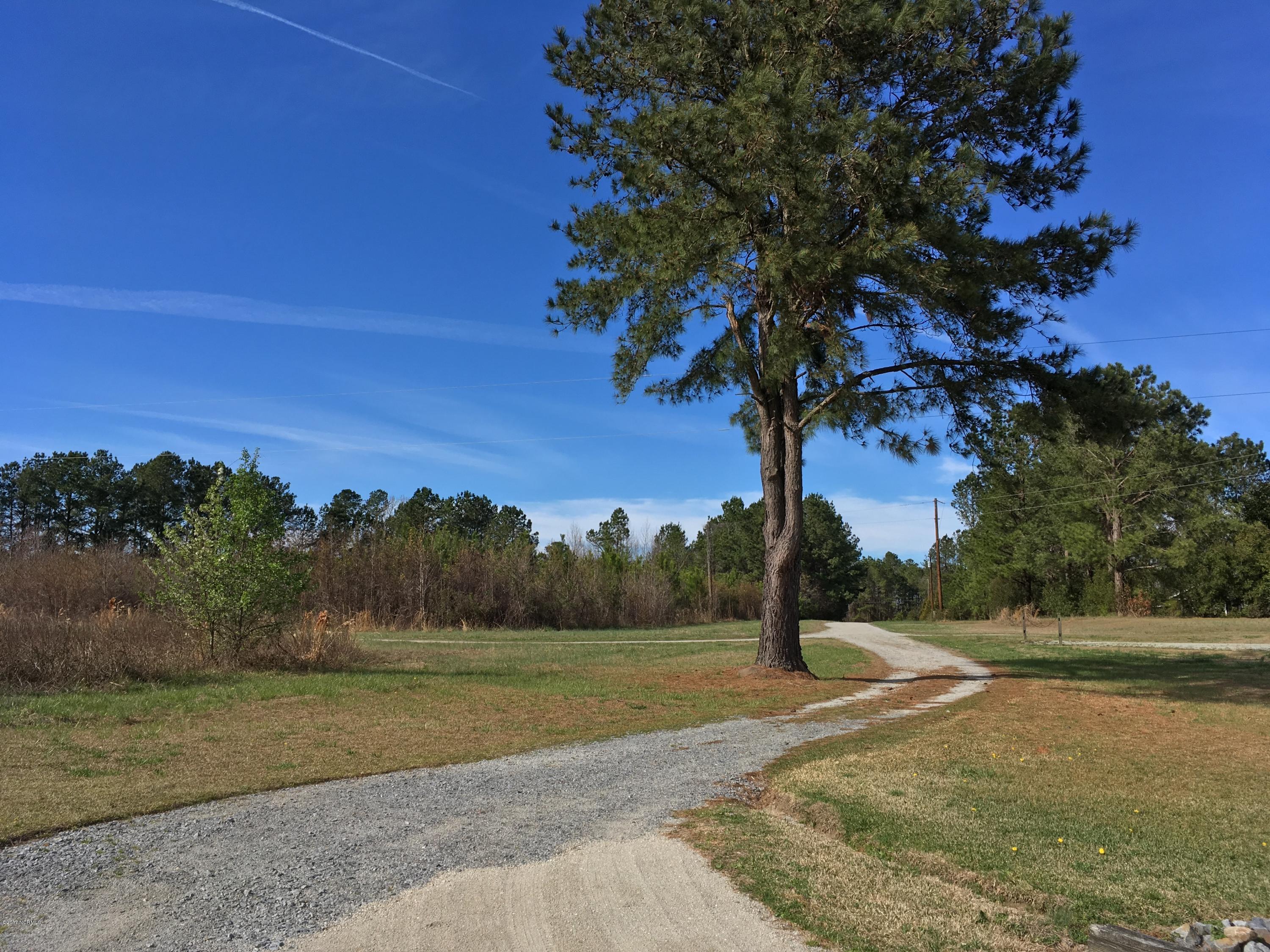 1174 Poore Farm Road Chocowinity, NC 27817 - Photo 67 of 67 Private road leads to house