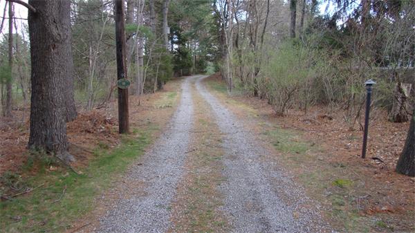 99 Concord Road Wayland, MA 01778 - Photo 9 of 12 a view of a forest with trees in the background