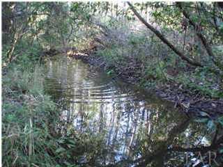 B Pleasant Grove Road Jay, FL 32565 - Photo 1 of 12