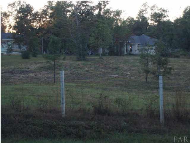 B Pleasant Grove Road Jay, FL 32565 - Photo 3 of 12