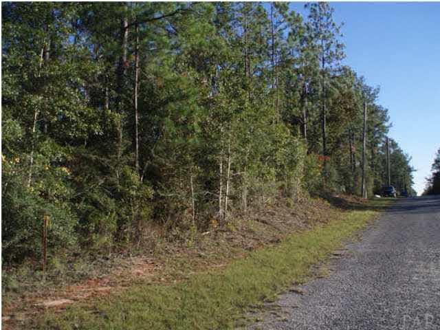 B Pleasant Grove Road Jay, FL 32565 - Photo 4 of 12