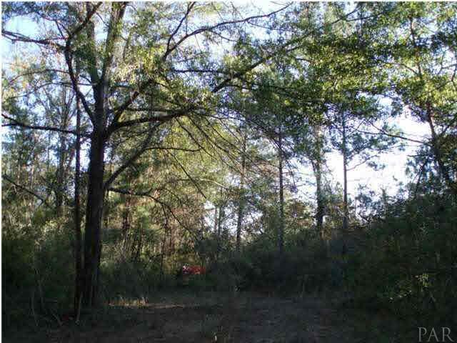 B Pleasant Grove Road Jay, FL 32565 - Photo 9 of 12