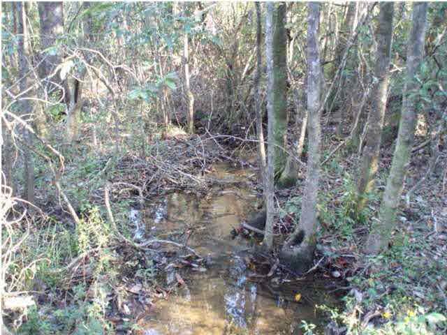 B Pleasant Grove Road Jay, FL 32565 - Photo 10 of 12