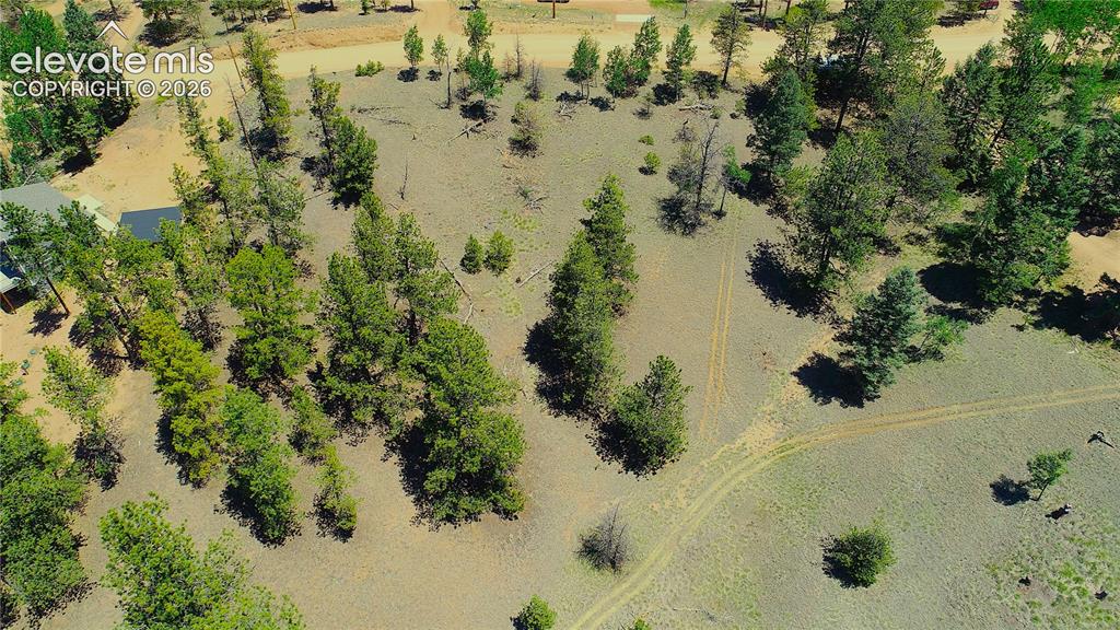 1366 North Mountain Estates Road Florissant, CO 80816 - Photo 15 of 16