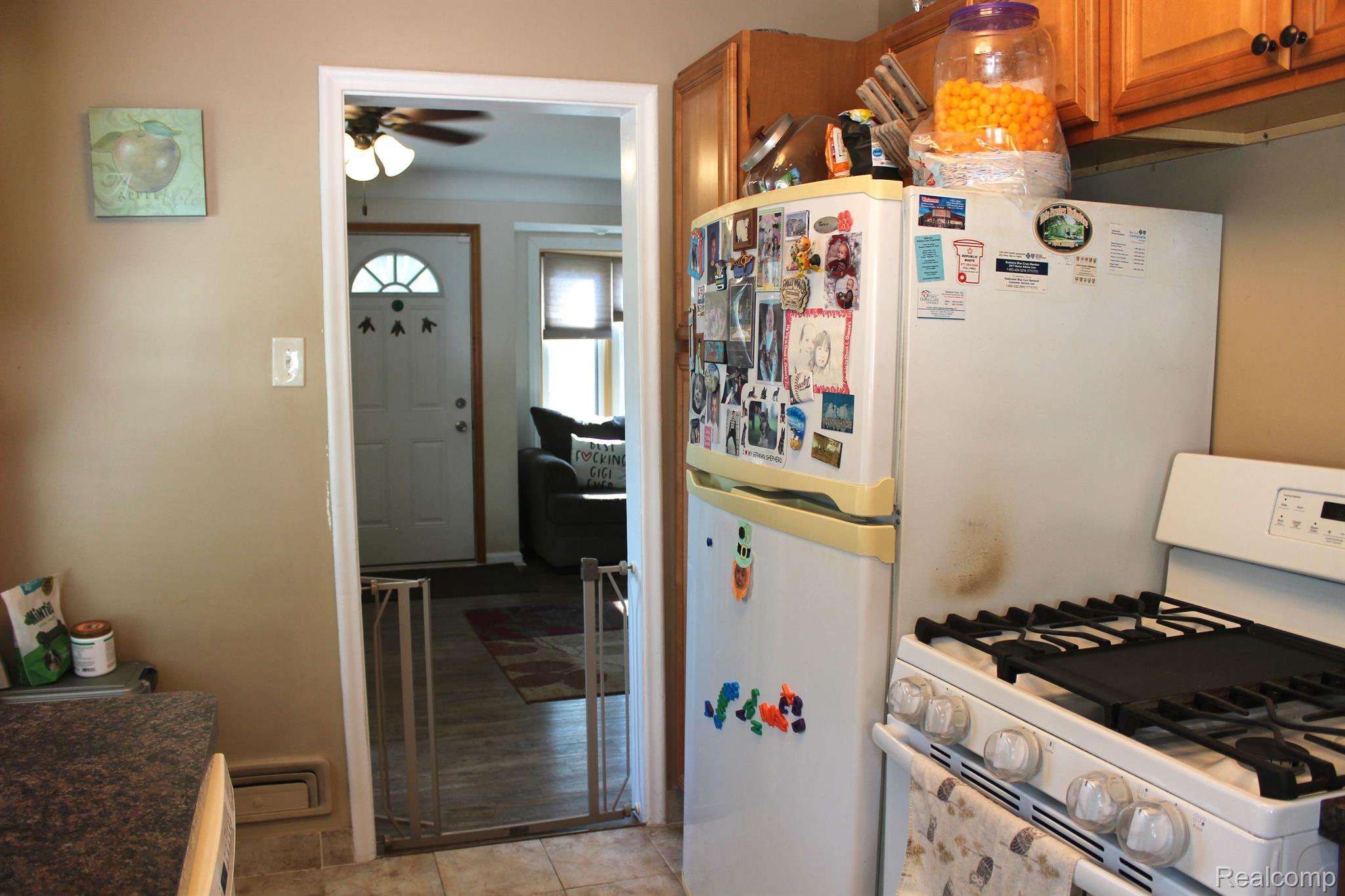 455 Biltmore Street Inkster, MI 48141 - Photo 20 of 43 Gallery Image 20