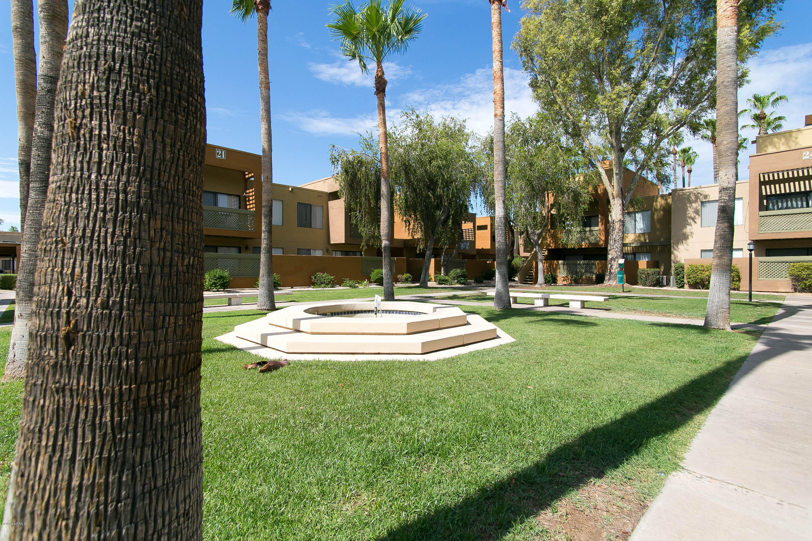 3500 North Hayden Road, Unit 2109 Scottsdale, AZ 85251 - Photo 14 of 15 IMG_2229