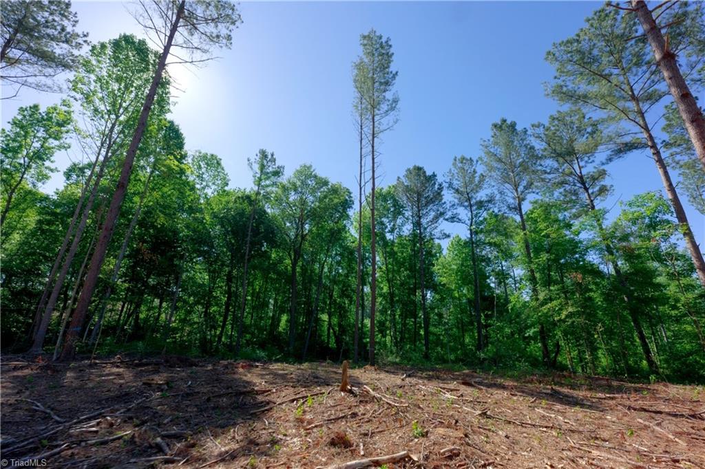 0 Carson Road Cleveland, NC 27013 - Photo 6 of 17