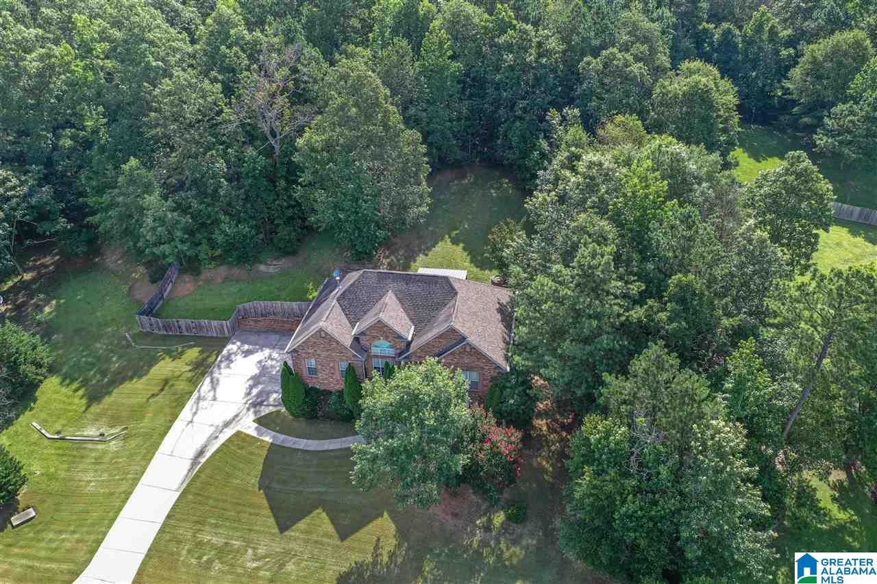 1013 Baron Lane Chelsea, AL 35043 - Photo 3 of 44