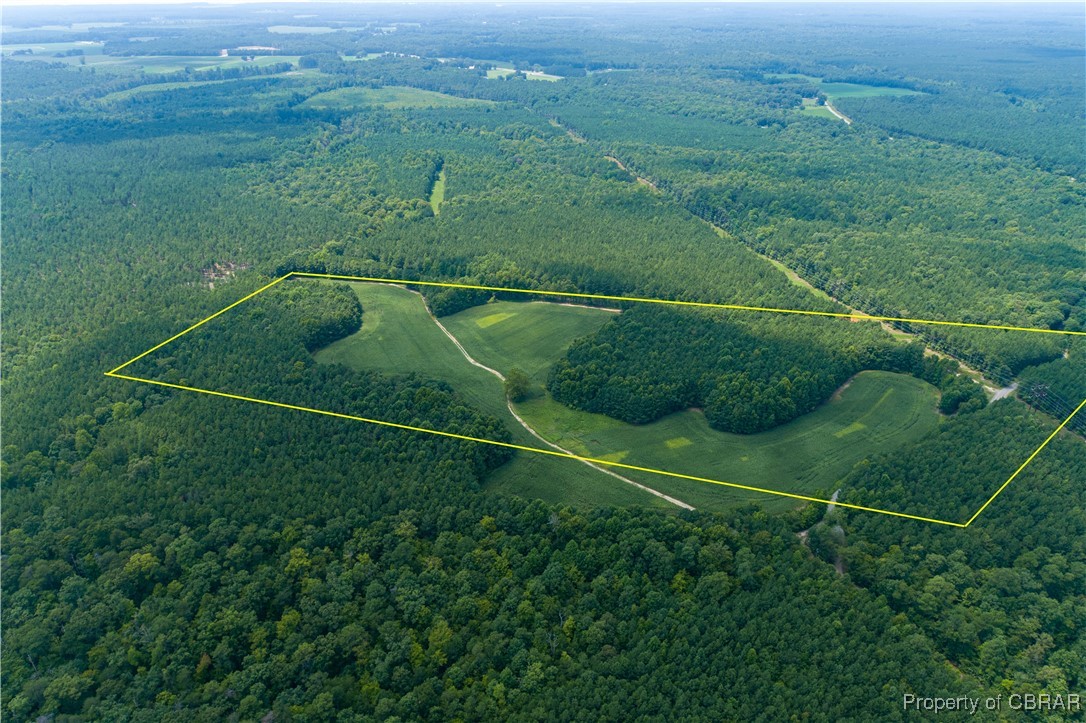 0 County Line Road Saluda, VA 23149 - Photo 2 of 36 Gorgeous 60.64 acres