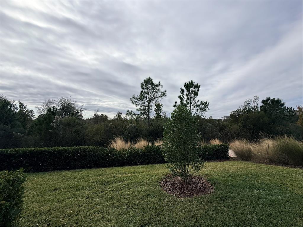 5443 Elmview Crossing Wesley Chapel, FL 33545 - Photo 36 of 41 a view of a garden