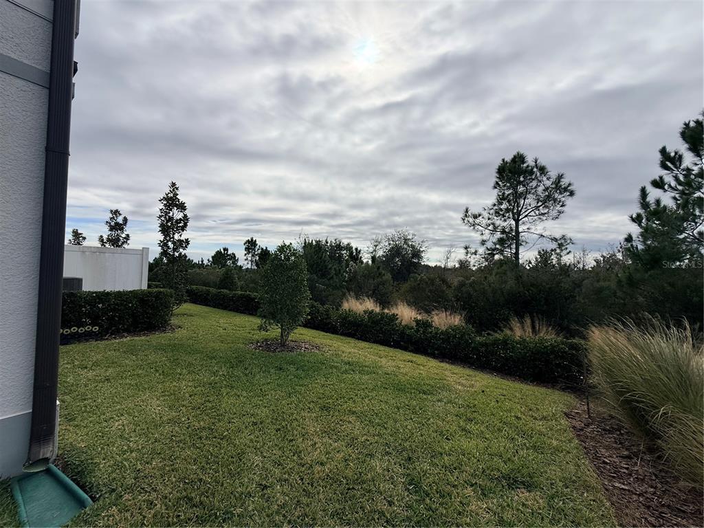 5443 Elmview Crossing Wesley Chapel, FL 33545 - Photo 37 of 41 a view of outdoor space and yard